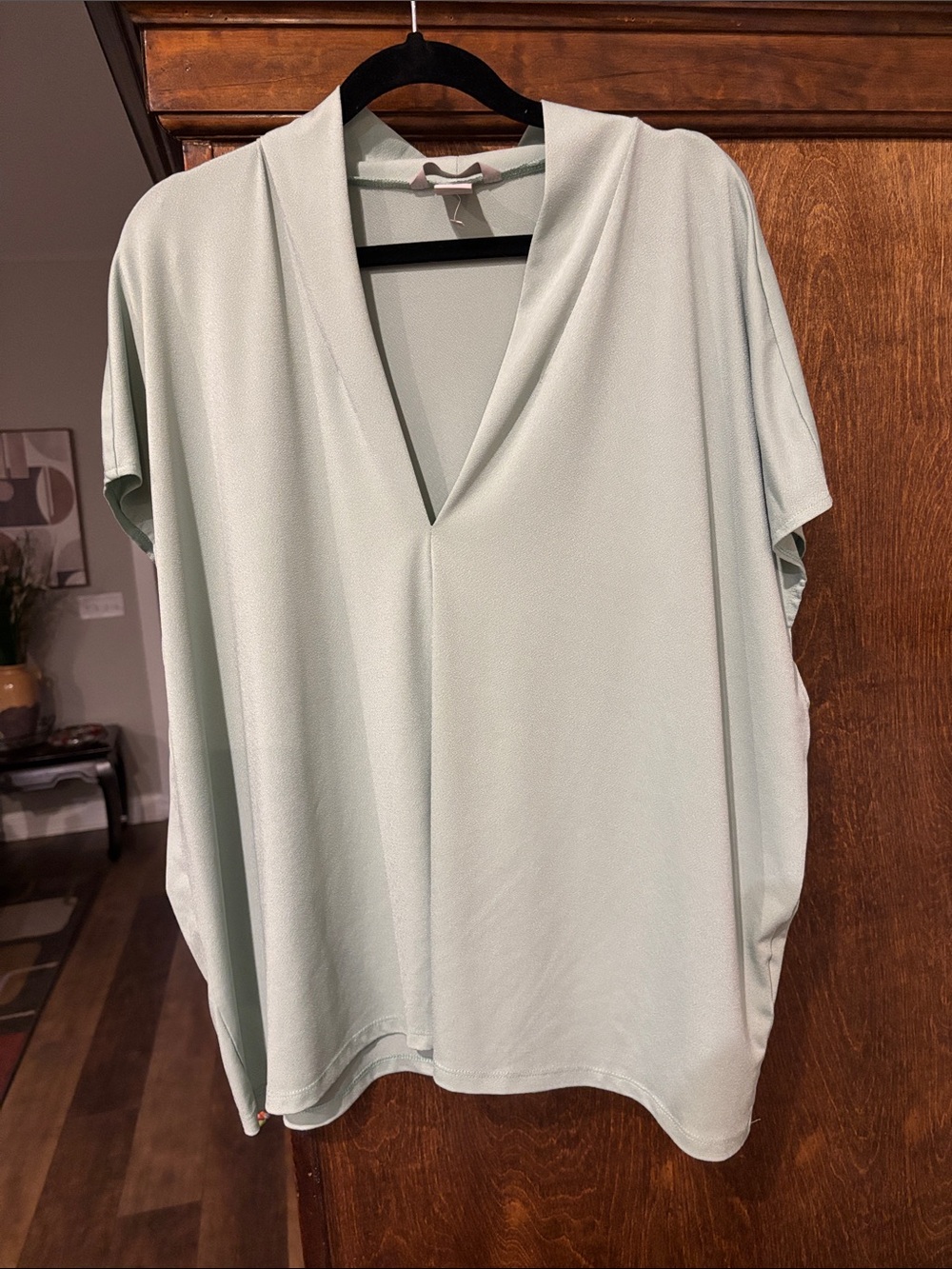 Relaxed V-Neck Women's Top in Light Mint